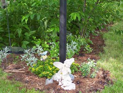 Our Herbal Gardens